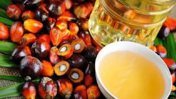 市场揭秘：马来西亚棕榈油产业为何“后来居上”？