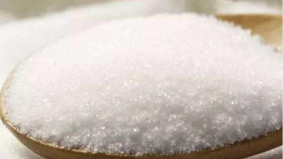 9月26日软商品日报