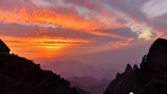 油价高开低走收跌，部分资金离场观望，回调过程有明显的抗跌特征